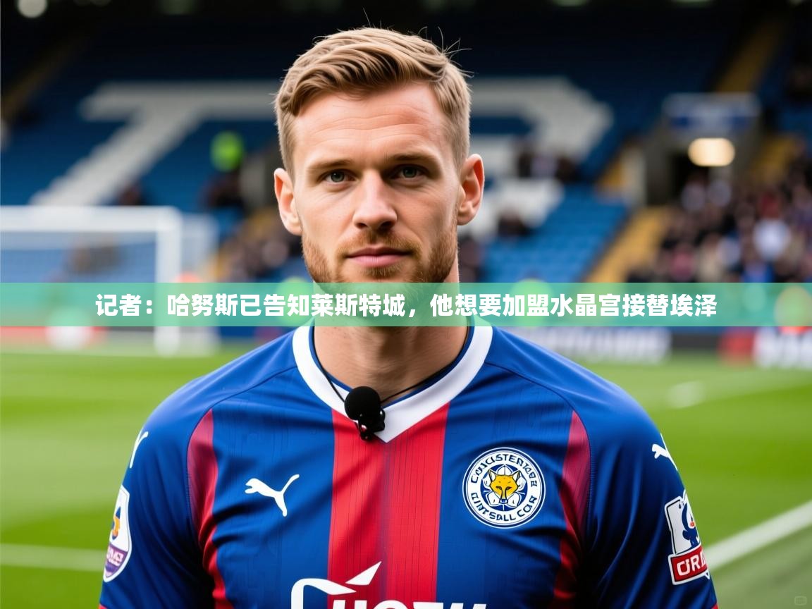 2025开云体育注册记者：哈努斯已告知莱斯特城，他想要加盟水晶宫接替埃泽  第2张