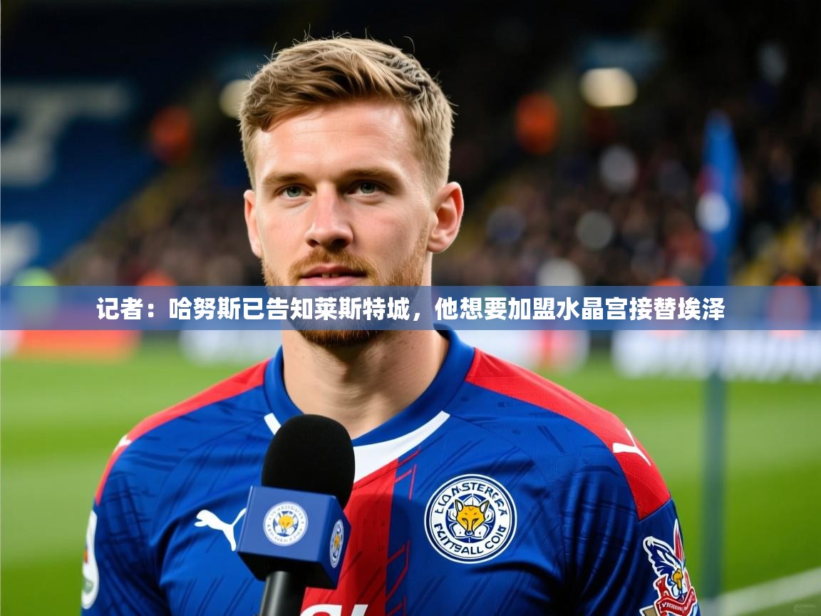 2025开云体育注册记者：哈努斯已告知莱斯特城，他想要加盟水晶宫接替埃泽  第3张