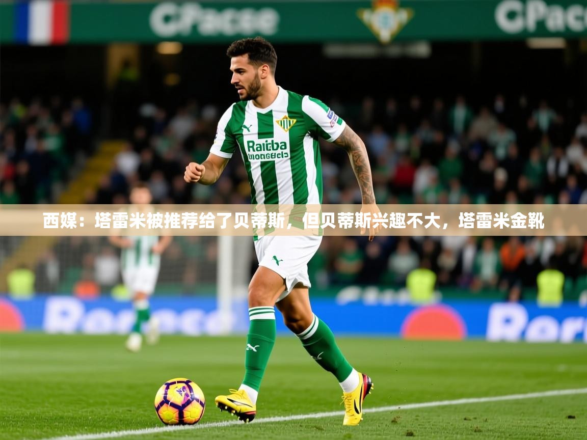 2025kaiyun体育在线官网西媒：塔雷米被推荐给了贝蒂斯，但贝蒂斯兴趣不大，塔雷米金靴  第2张