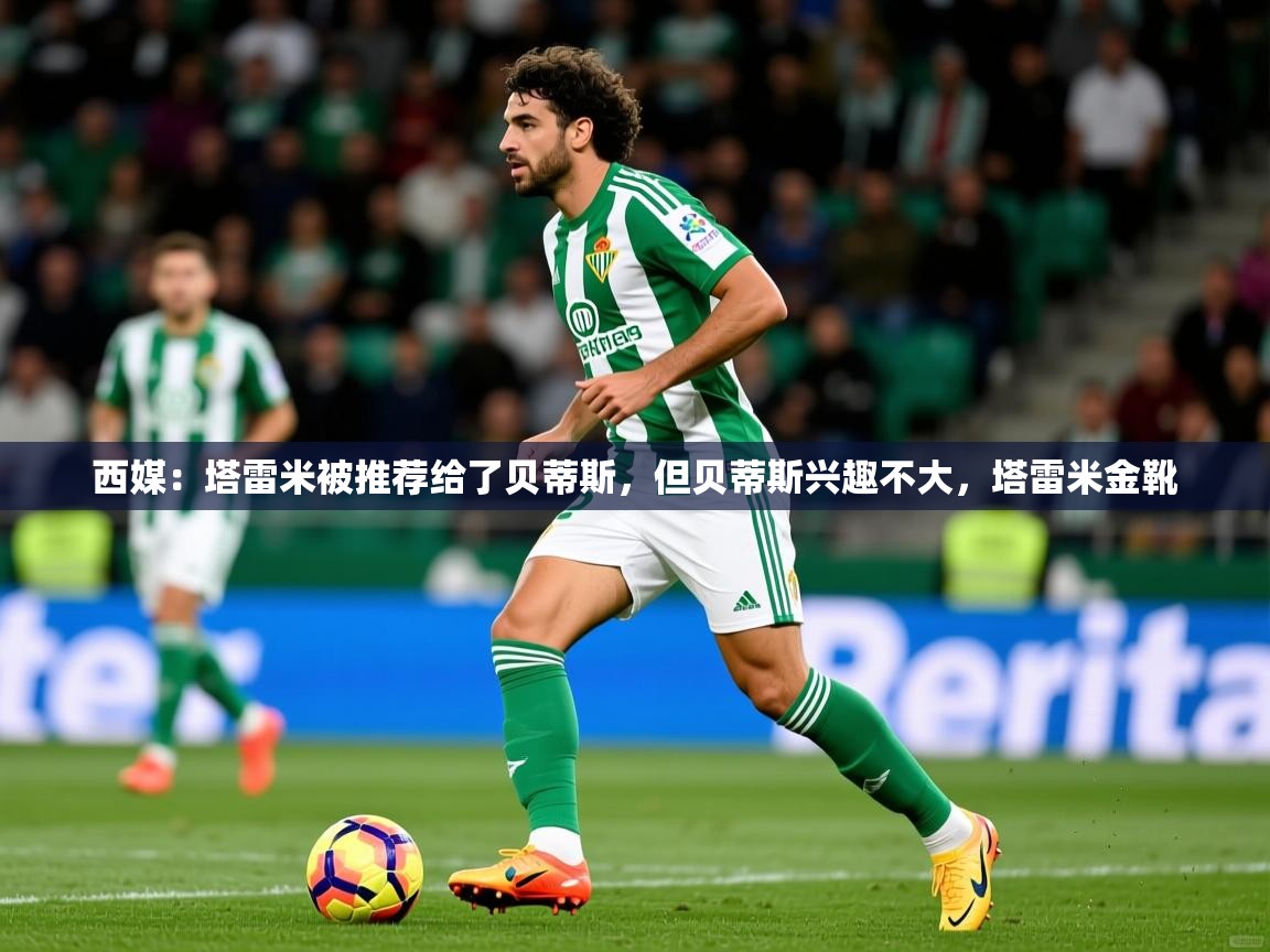 2025kaiyun体育在线官网西媒：塔雷米被推荐给了贝蒂斯，但贝蒂斯兴趣不大，塔雷米金靴  第4张