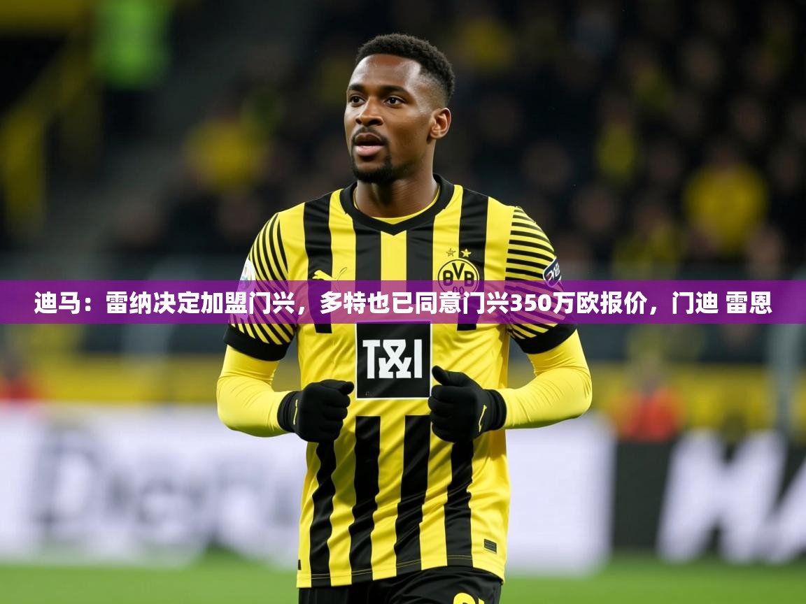 2025开云体育登入迪马:雷纳决定加盟门兴,多特也已同意门兴350万欧报价,门迪 雷恩 第1张