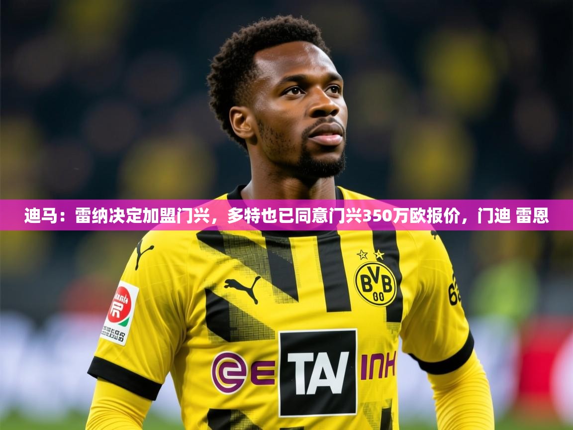2025开云体育登入迪马:雷纳决定加盟门兴,多特也已同意门兴350万欧报价,门迪 雷恩 第3张