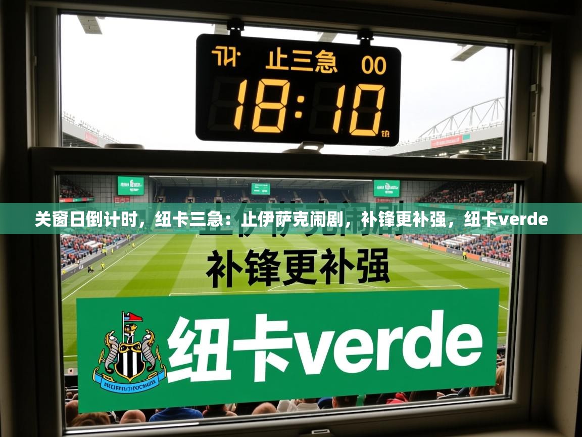 2025开云体育app下载关窗日倒计时，纽卡三急：止伊萨克闹剧，补锋更补强，纽卡verde  第4张
