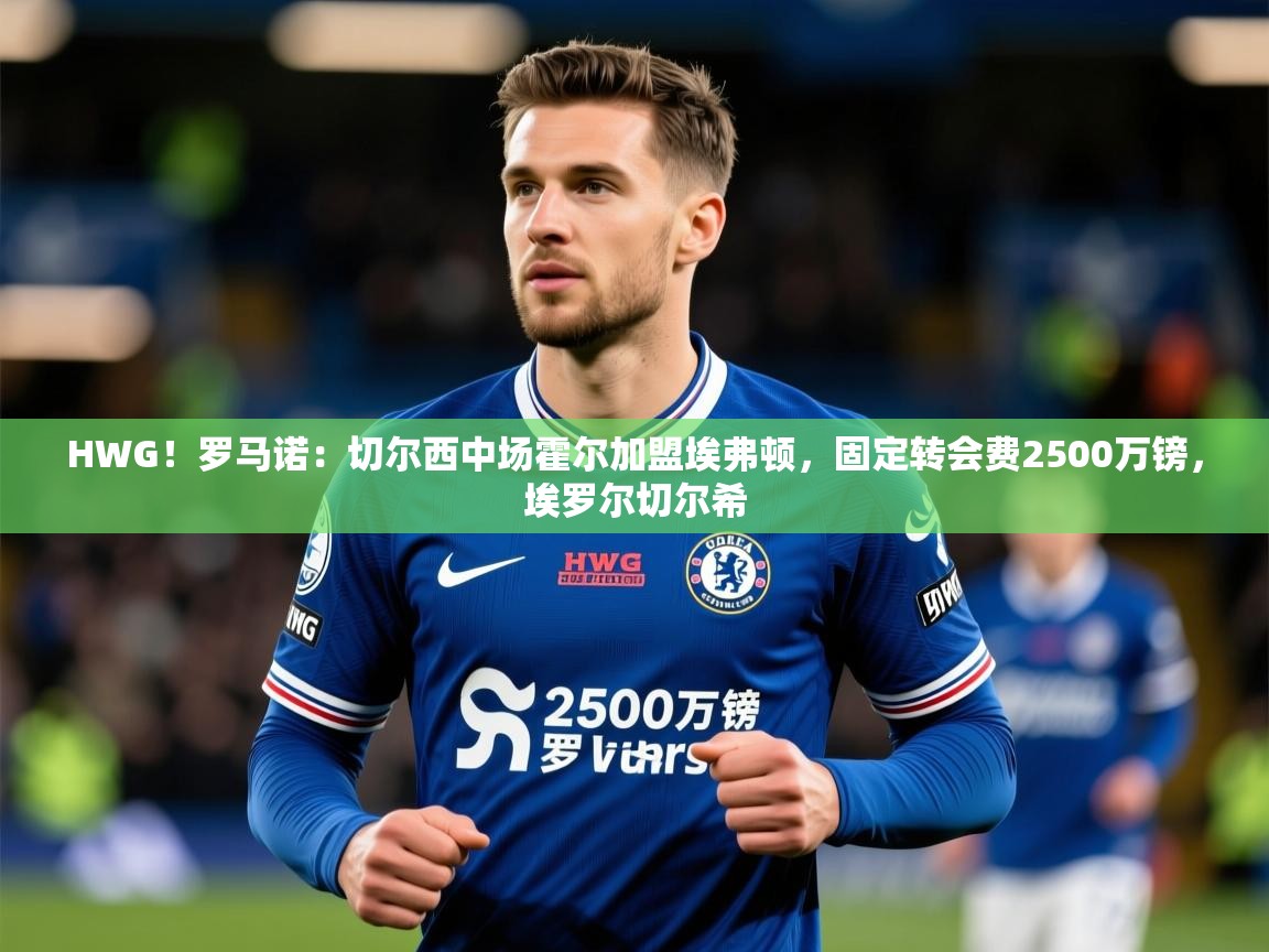 2025kaiyun体育在线官网登录入口HWG!罗马诺:切尔西中场霍尔加盟埃弗顿,固定转会费2500万镑,埃罗尔切尔希 第4张