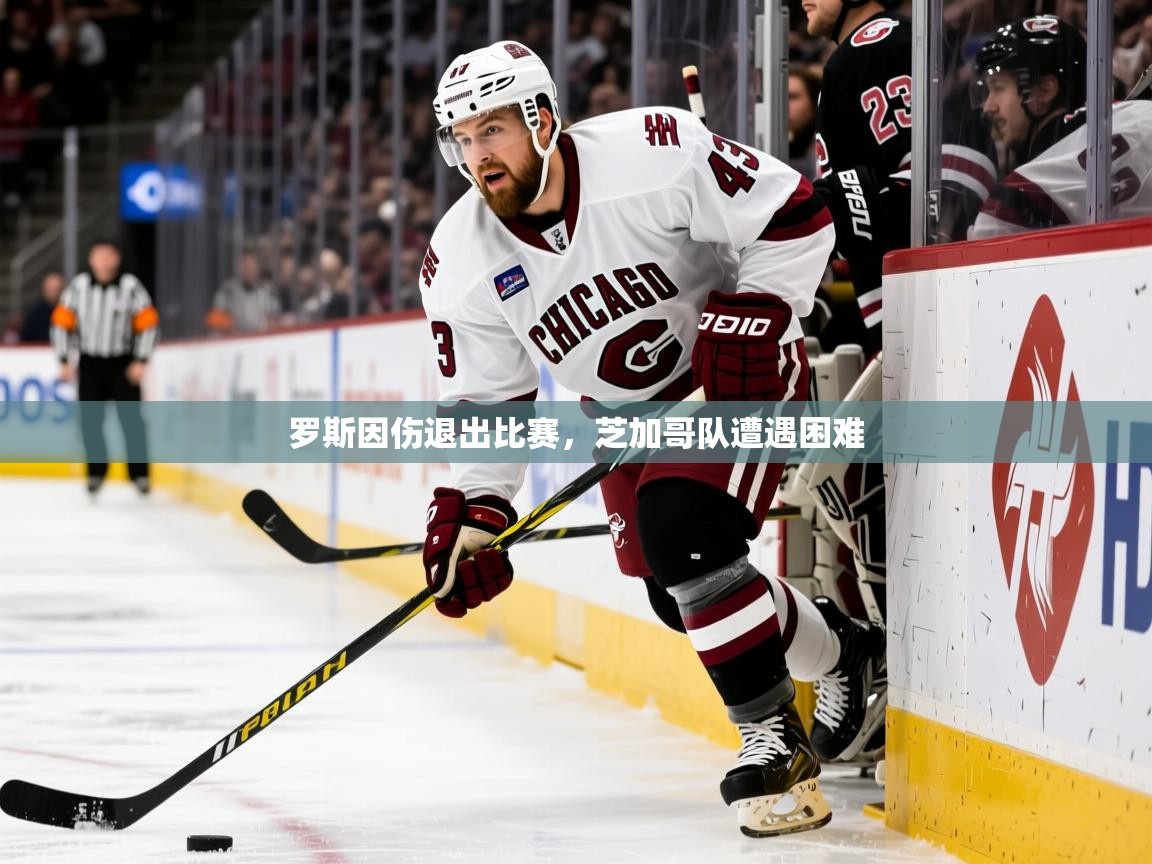 2026kaiyun体育在线官网登录入口罗斯因伤退出比赛,芝加哥队遭遇困难 第4张