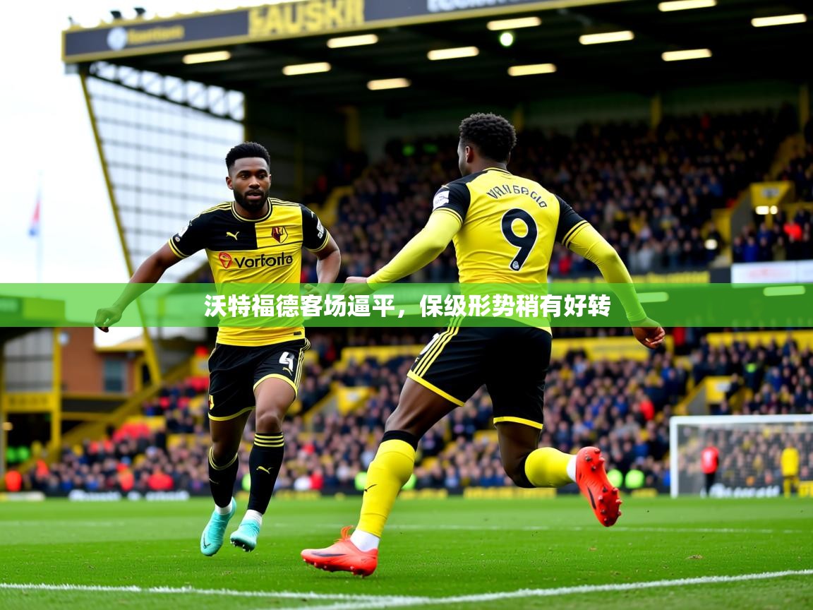 2026开云体育注册沃特福德客场逼平,保级形势稍有好转 第4张